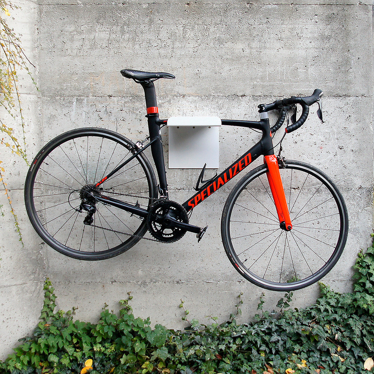 Bicycle Wall Mount FRANCESCO